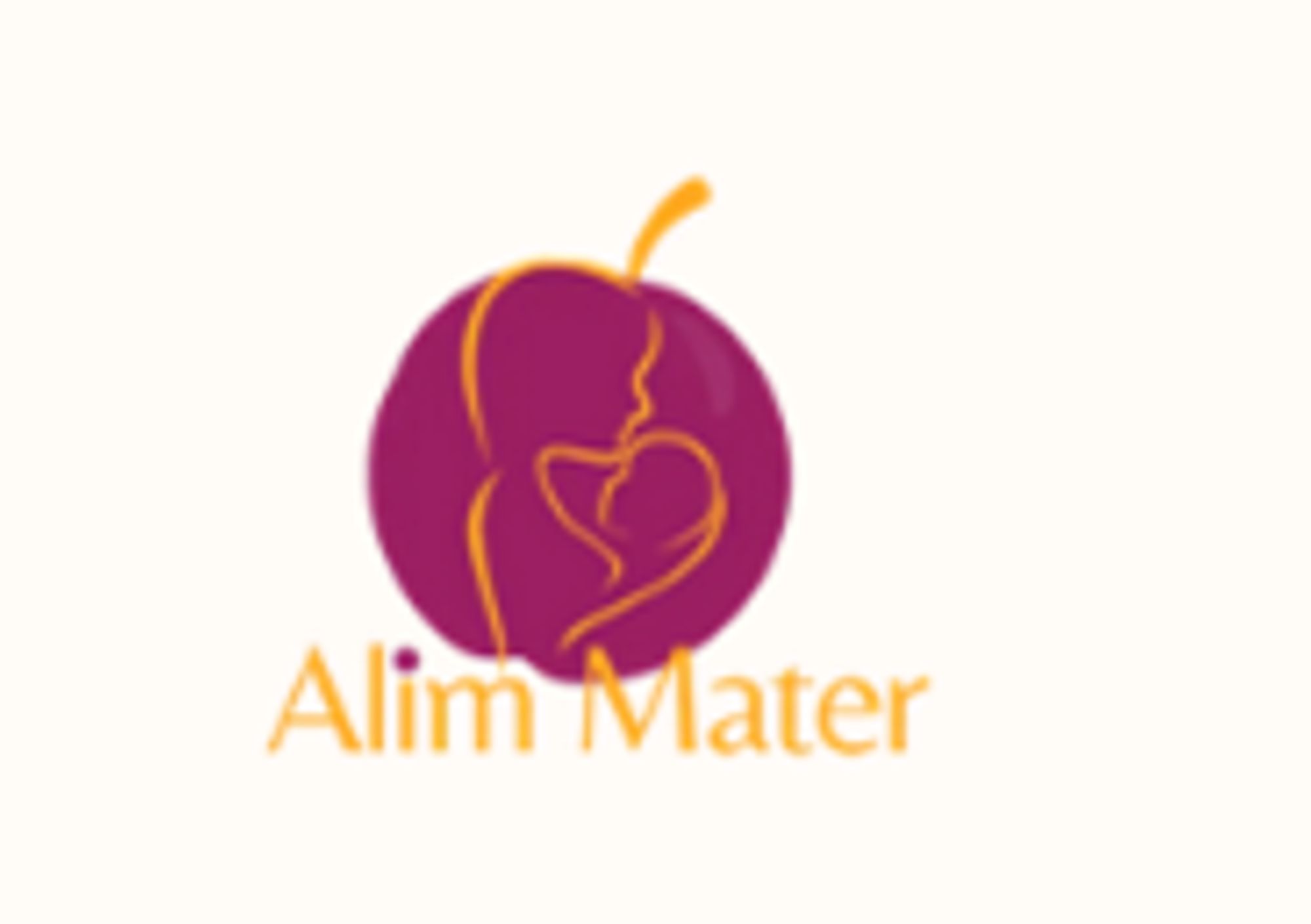 Alim'Mater "Bien manger enceinte et avec bébé, en respectant sa culture et son budget"