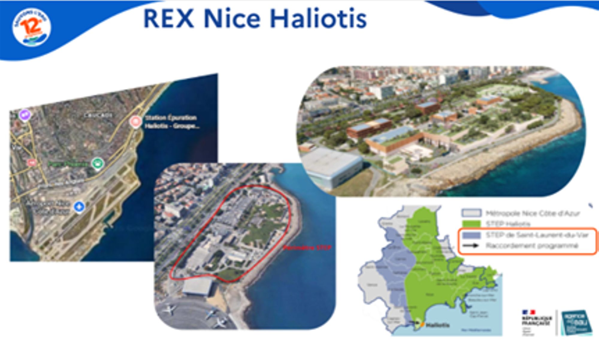 REUT Nice Haliotis 