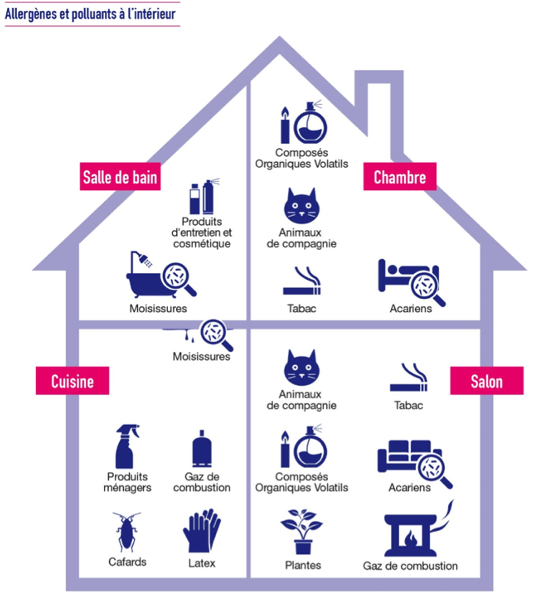 Le métier de conseiller habitat et santé/ conseiller médical en environnement intérieur (CMEI/CHS/CEI) 